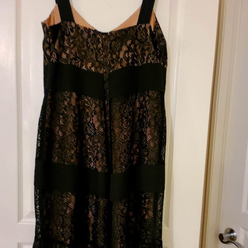 Ann Taylor Loft Dress
